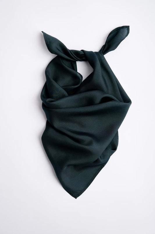 Silk Scarf Duo – BASIL + OASIS | 100% Silk Scarf Bundle