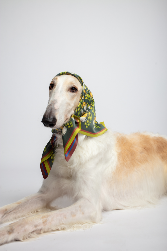 SKARELE EVENING Double-Sided Contrasting Pistachio Green and Deep Red Silk Scarf 65x65cm