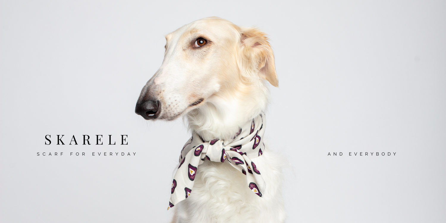 A professional studio photograph of a white Borzoi dog wearing a stylish patterned silk scarf tied around its neck. The image features elegant typography that reads 'SKARELE - SCARF FOR EVERYDAY AND EVERYBODY' against a clean, light gray background.