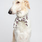 An elegant portrait of a white Borzoi dog against a light background. The dog sits in a dignified pose, looking to the side, with its neck adorned by a stylish light-colored scarf featuring a purple heart pattern, tied in a neat knot. The soft lighting highlights the dog's long snout and graceful features.
